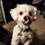 Valerie Skupien's profile image
