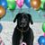Karen Jo Hassett Ashley's profile image