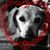 Debbie Santelli's profile image