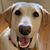 Louise Paskey's profile image
