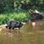 Kristie Hess's profile image