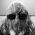 Michael Pike's profile image