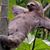 James Fillmore's profile image