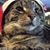Lasha Mociak's profile image