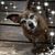 Brent Breed's profile image