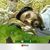 Asad Sheikh's profile image