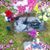 Tresa Brown's profile image