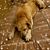 Zita Sims's profile image