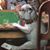 Holly Hendricks's profile image