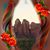 Souad Korban's profile image