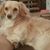 Linda Graumann's profile image