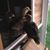 Victoria Williams's profile image