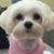 Milly Alexander's profile image