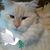 Marie Kacy's profile image