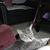 Kathy Colburn's profile image