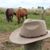 Judy Hicks's profile image