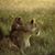 Blanton Andes-Bean's profile image