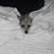 Roberta Brubaker Keeler's profile image