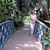 Lorie DeLong-Martinez's profile image
