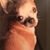 Michael Dodson's profile image