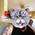 Patrick Carey O'Hare's profile image