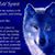 Karen Boda's profile image