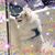 Lori Kelly's profile image