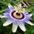 Kathryn Florine Mabe's profile image