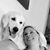 Jamie Lynn Shillinger's profile image