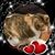 Patricia Mashburn's profile image