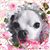Barbara Taylor's profile image