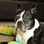 Jennifer Van Voorhis Venezia's profile image