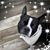 Trudy Stauche's profile image