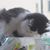 Jean M Skaggs's profile image
