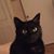 Susan McClellan's profile image