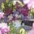 Elizabeth Anne Gampp's profile image