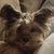 Crystal Hayes's profile image