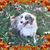 Stephanie Lindley's profile image