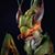 Richard Smith's profile image
