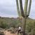 Barb Anderes's profile image