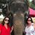 Debbie Trainham Owen's profile image