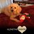Rita Lambert's profile image