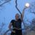 Constance Palagi's profile image