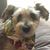Terri Jo's profile image