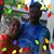 Stacey Lee Fairchild's profile image