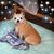 Patty Van Dyke Mills's profile image