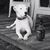 Randy Daniels's profile image