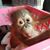 Christine Muise's profile image