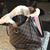 Terri Lewis's profile image