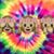 Pam Knowlton's profile image